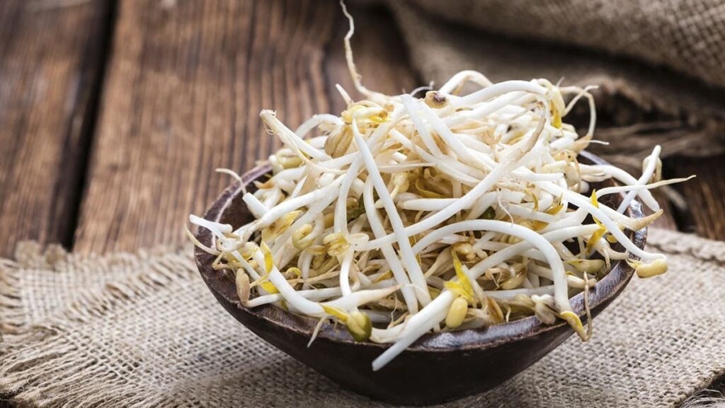 Cách làm giá đỗ tại nhà bằng hộp sữa siêu dễ